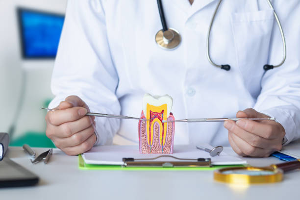 Best Emergency Denture Repair in Lamar, MO